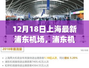 上海浦东机场启航，变化、学习与自信的力量展现新篇章