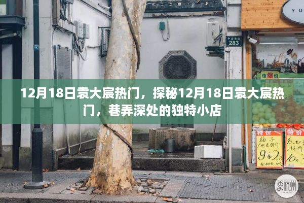 探秘袁大宸巷弄深处的独特小店，揭秘袁大宸在12月18日的热门秘密