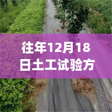 探秘隐藏版特色小店，土工试验圣地的传奇故事，12月18日热门回顾