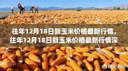 往年12月18日新玉米价格行情及深度解析，市场走势与专家观点探讨