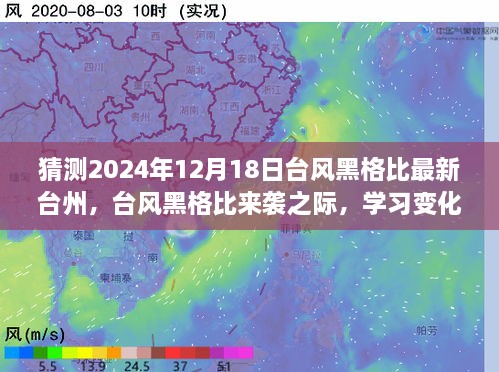 励志之旅，台风黑格比来袭之际，拥抱自信与成就感的台州成长之路（猜测2024年12月18日最新台风黑格比动态）