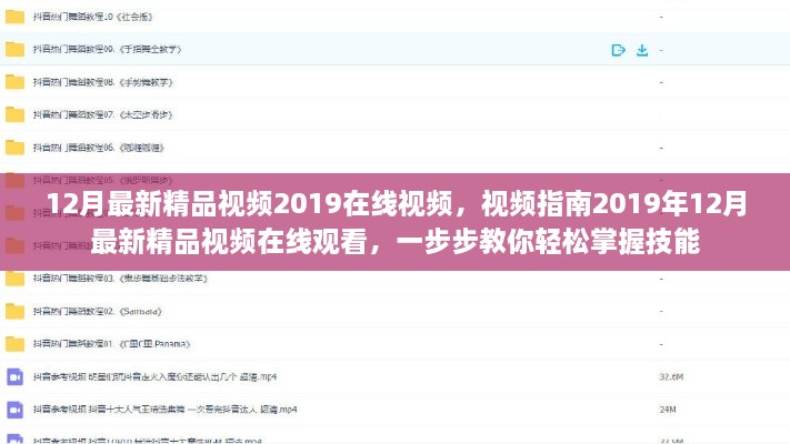 2019年12月最新精品视频指南，在线观看与学习掌握技能的绝佳途径