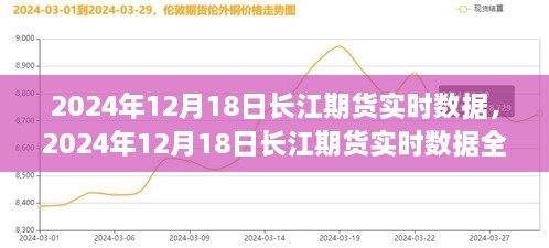 2024年12月18日长江期货实时数据全面解析与操作指南