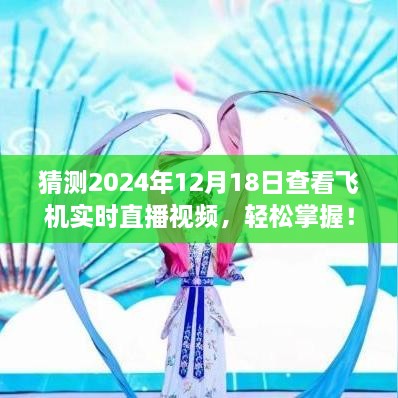 轻松掌握飞机实时直播观看技巧，详细步骤指南至2024年查看飞机实时直播视频