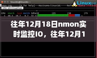 往年12月18日nmon实时监控IO性能深度解析与评测报告