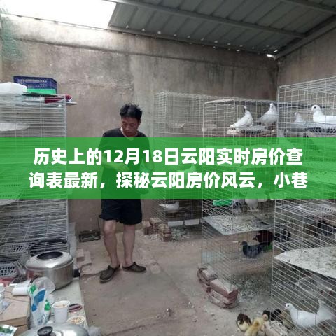 历史与现实交汇，云阳房价风云揭秘，特色小店与房价奥秘探寻