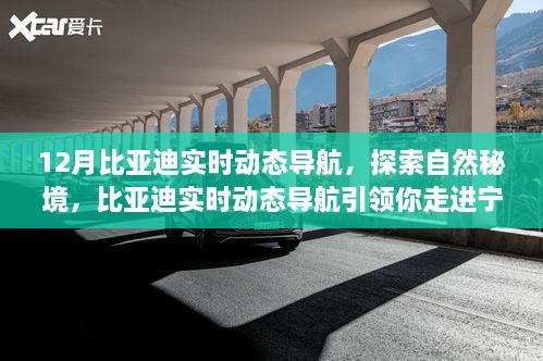 比亚迪实时动态导航引领宁静十二月奇迹之旅