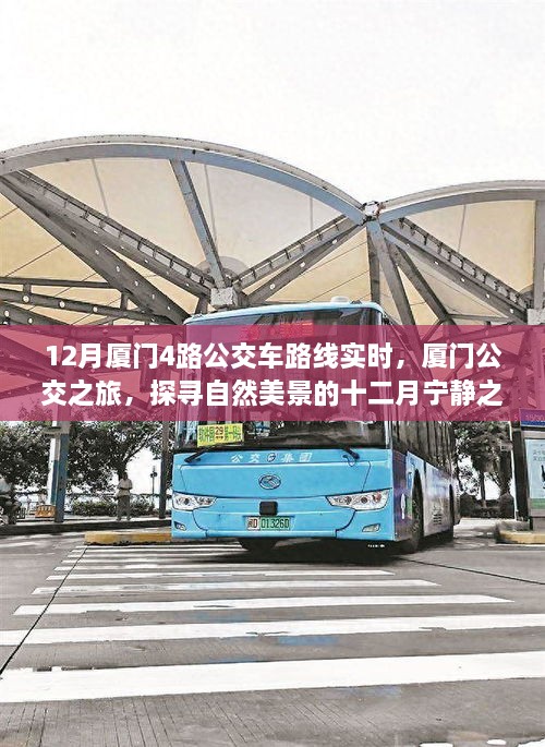 厦门公交之旅，十二月探寻自然美景的宁静之旅，4路公交车路线实时播报