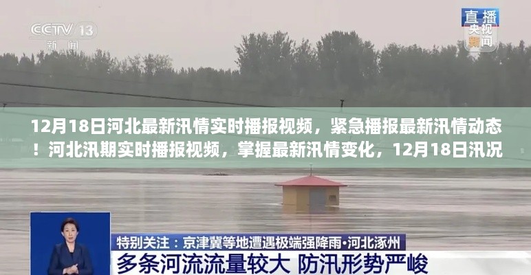 12月18日河北汛情最新动态，实时播报视频揭示汛况直击