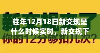 新交规下的温馨故事，友情与记忆的日子，实时回顾往年新交规实施时刻