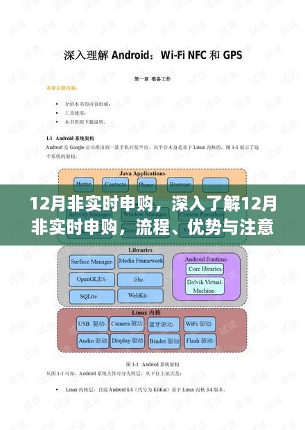 深入了解12月非实时申购，流程、优势及注意事项全解析