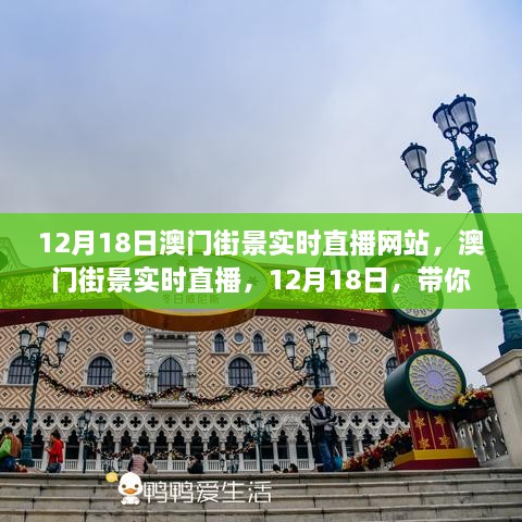 12月18日澳门街景实时直播，领略澳门风情