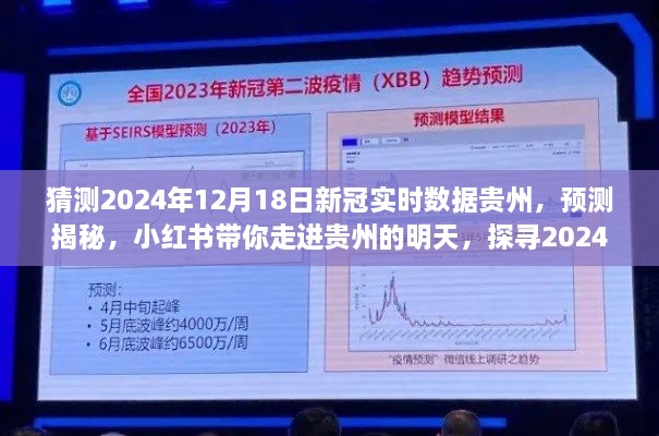 贵州2024年新冠实时数据预测揭秘，小红书带你探寻未来走向的明天之路