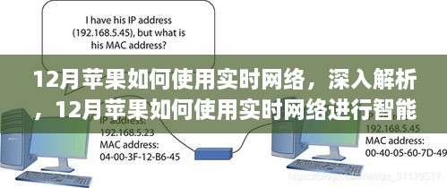 深入解析，苹果如何利用实时网络进行智能操作体验（12月指南）