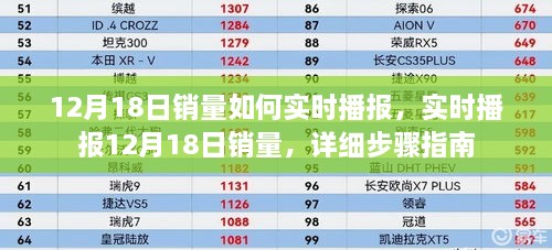 实时播报指南，12月18日销量详解及步骤