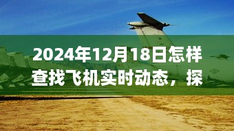 揭秘飞机实时动态追踪，探秘小巷深处的飞行轨迹追踪小店与掌握飞机动态的秘密方法（2024年12月18日指南）