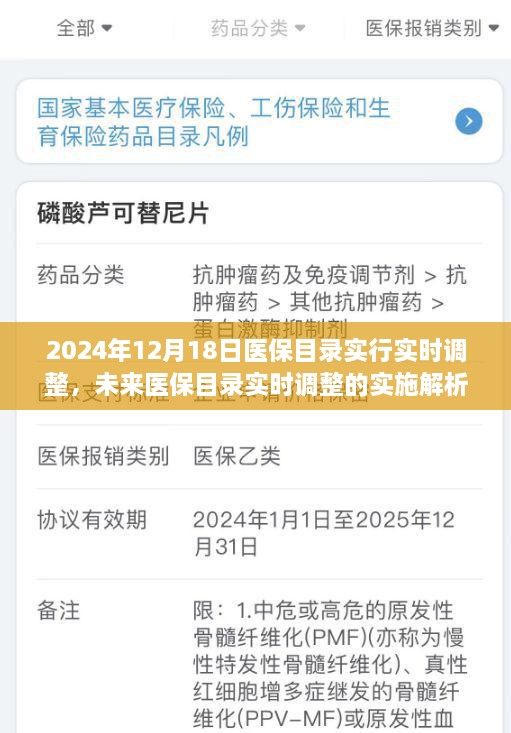 未来医保目录实时调整实施解析，以2024年12月1 8日为时间节点展望