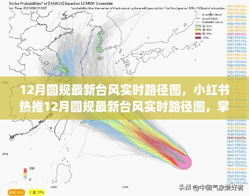 掌握天气动态，保障你我安全，最新台风实时路径图在小红书热推