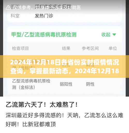 2024年12月18日全国各省份实时疫情动态总览，最新情况一览无余