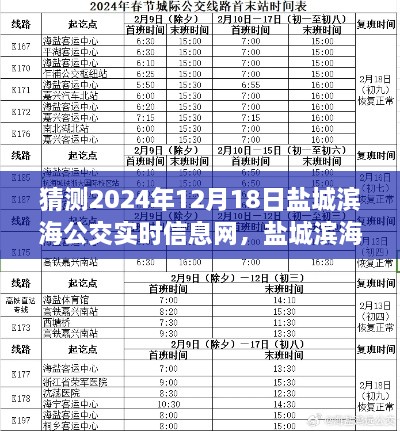 盐城滨海公交未来展望，深度解析与预测（至2024年视角）