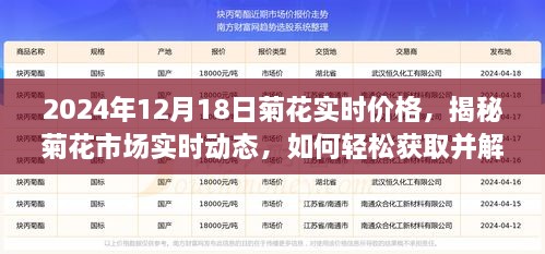 揭秘菊花市场实时动态，如何获取并解读菊花价格信息（以2024年12月18日为例）