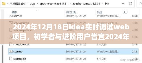 IDEA实时调试Web项目新手进阶指南，初学者与进阶用户通用步骤指南（2024年12月18日）