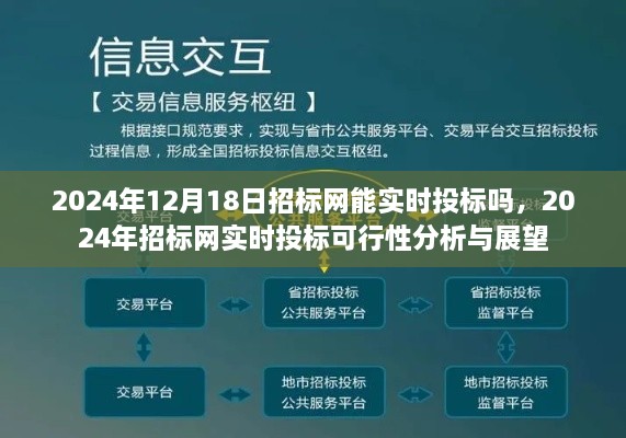 2024年招标网实时投标可行性分析与展望