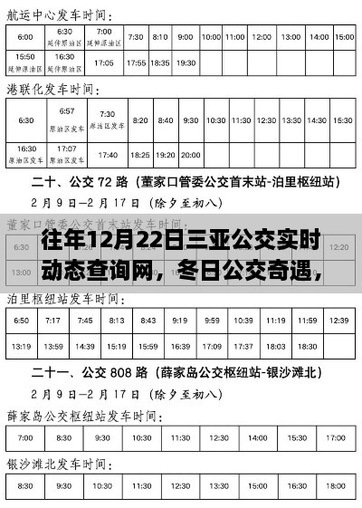 冬日三亚公交奇遇，实时动态查询与家的温馨时光