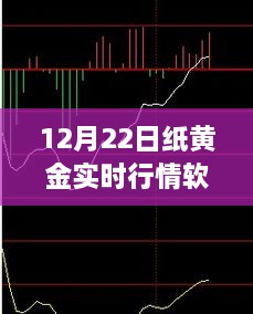 12月22日纸黄金实时行情深度解析，风云变幻的软件指南