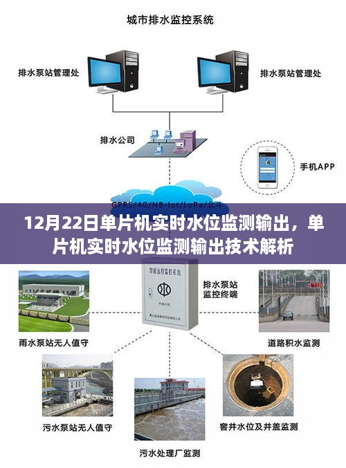 单片机实时水位监测输出技术解析与实现探讨