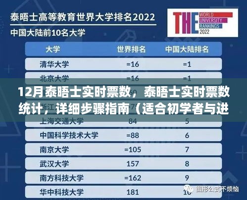 泰晤士实时票数统计详解，初学者与进阶用户的指南