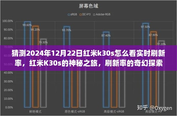 红米K30s的神秘之旅，探索实时刷新率的奇幻世界（2024年12月22日指南）