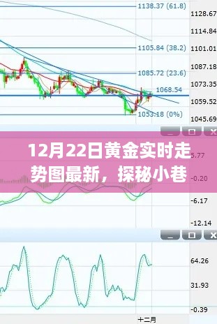 探秘黄金店铺背后的故事，黄金实时走势图深度解析（最新日期，12月22日）