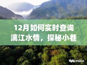 12月漓江水情实时查询攻略，探秘小巷深处，启程水韵之旅