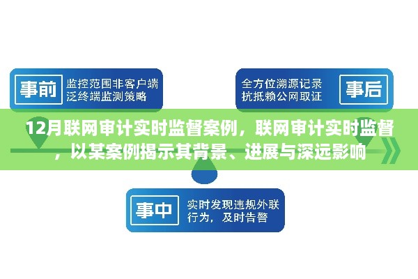 联网审计实时监督案例深度解析，背景、进展与深远影响