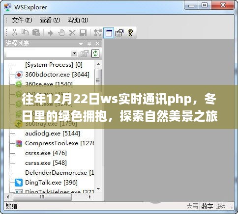 冬日绿色之旅与PHP实时通讯的奇妙交融，探索自然美景与技术的结合点