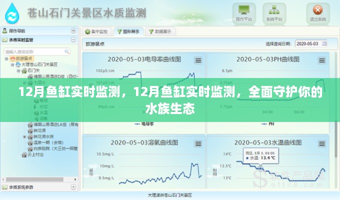 全面守护水族生态，12月鱼缸实时监测启动