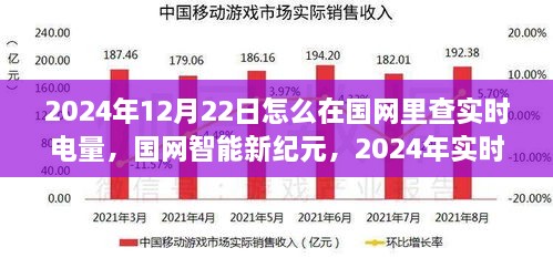 国网智能新纪元，实时电量监控触手可及，未来生活体验尽在国网实时电量查询系统（2024年）