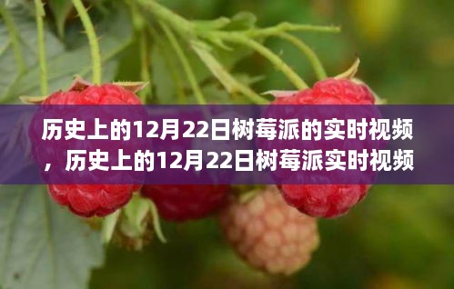 历史上的12月22日树莓派实时视频，全面评测与详细介绍