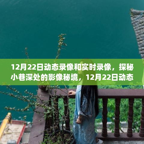 探秘小巷深处的影像秘境，12月22日动态录像与实时录像体验之旅。