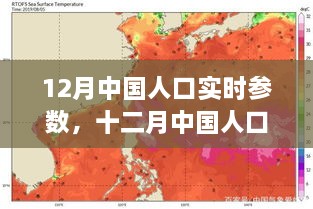 中国人口实时参数深度解析，背景、事件、影响与时代地位（十二月版）