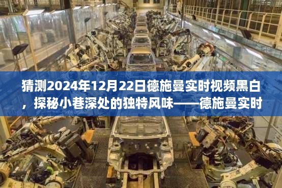 德施曼实时视频黑白体验之旅，探秘小巷深处的独特风情，2024年12月22日黑白视频猜想之旅