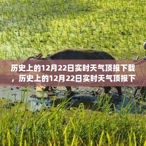 冬至日气象变迁，历史上的12月22日实时天气顶报下载回顾