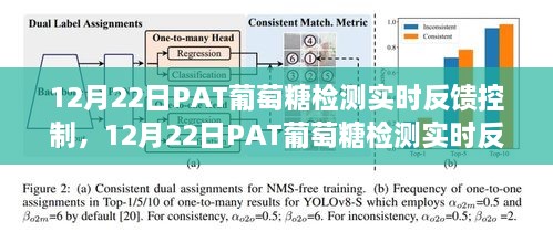 建议，PAT葡萄糖检测实时反馈控制操作指南，从初学者到进阶用户