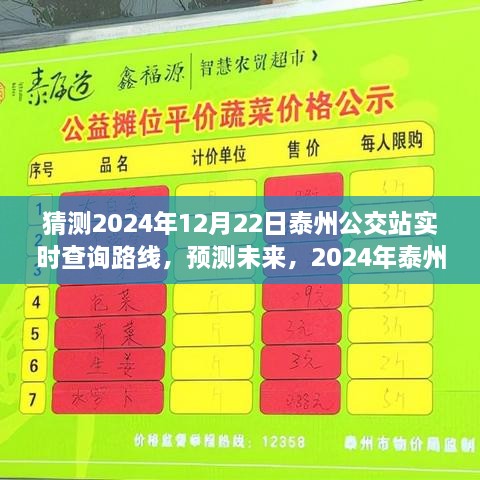 2024年泰州公交路线实时查询指南，预测未来，提前规划出行