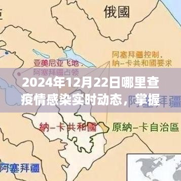 2024年12月22日疫情感染实时动态查询指南，掌握最新动态