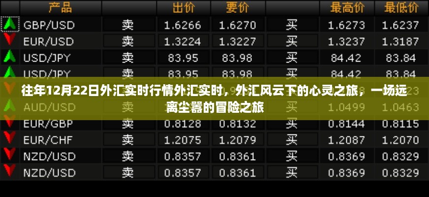 外汇风云下的心灵之旅，远离尘嚣的冒险与实时行情解析