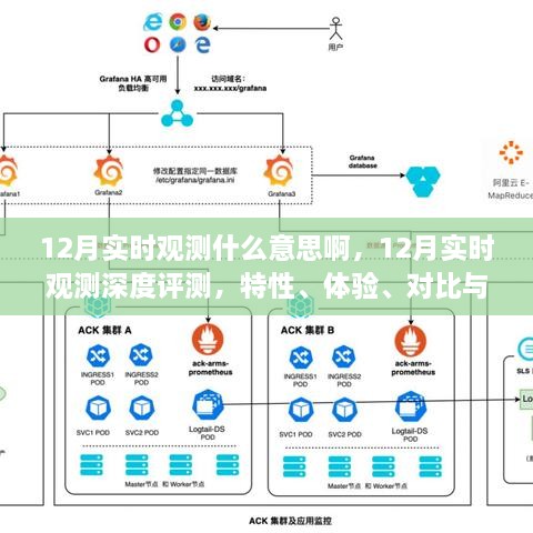 12月实时观测深度评测，特性、体验、对比与用户需求洞察分析