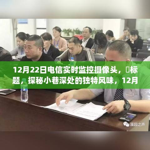 探秘小巷深处的独特风味，电信实时监控摄像头下的惊喜发现纪实