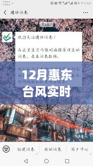 惠东台风实时监测图表与小巷特色小店探寻之旅